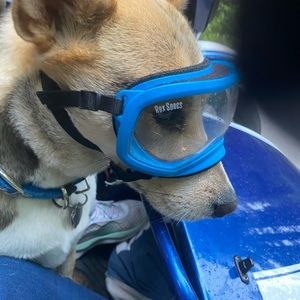 Meet your Posher, Lynn